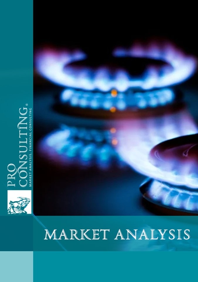 Market research report on natural gas in Ukraine. 2019-2023